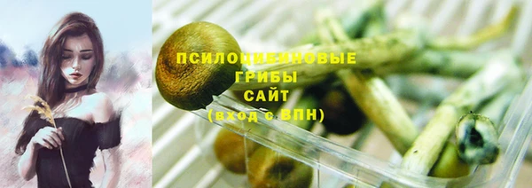 таблы Богданович