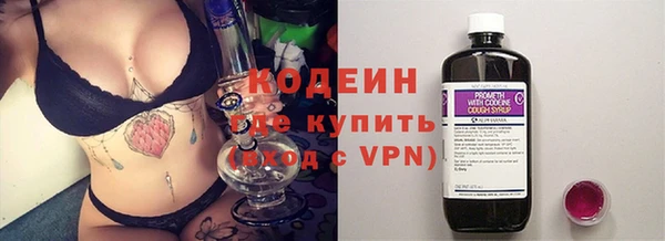 ГАЛЛЮЦИНОГЕННЫЕ ГРИБЫ Бородино