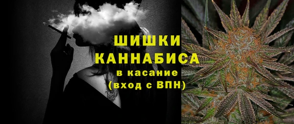 ГАЛЛЮЦИНОГЕННЫЕ ГРИБЫ Бородино