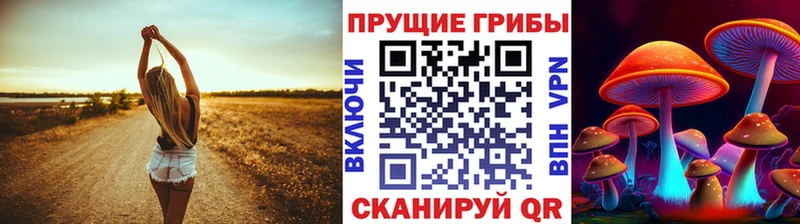 гидра сайт Улан-Удэ Галлюциногенные грибы MAGIC MUSHROOMS где продают