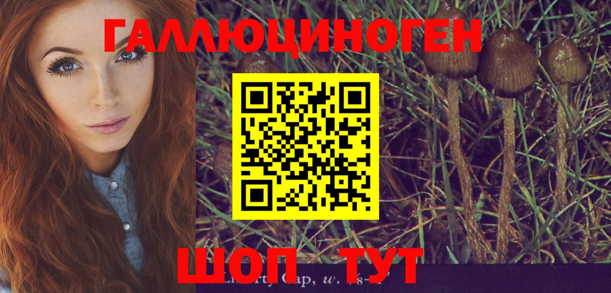 Улан-Удэ  Галлюциногенные грибы Psilocybe  Вход с VPN 