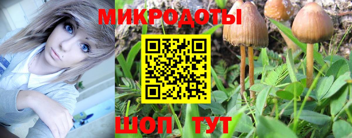 Галлюциногенные грибы мухоморы Улан-Удэ